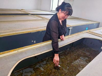 马龙区旧县街道龙海社区:"小蚂蟥"做成"大文章"